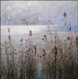 Reeds by the Shore  by Jack Zhou - Oversized